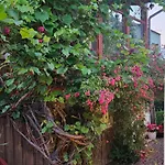 Merkury Bed & Breakfast