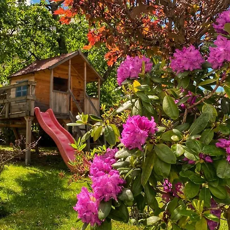 Merkury Świeradów-Zdrój