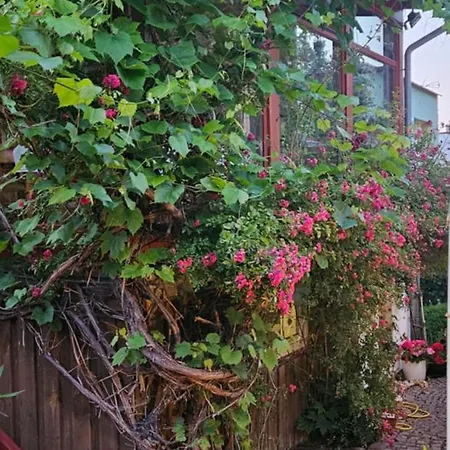 Merkury Bed & Breakfast