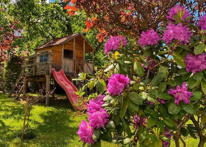 Merkury Świeradów-Zdrój